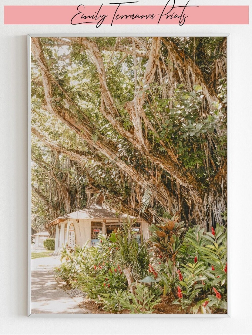 Framed Hawaii Tree Art Print, 8x12